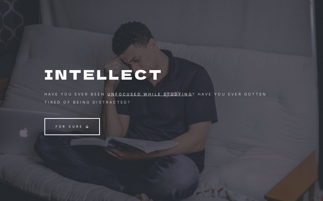 Carrd profile picture for @intellect